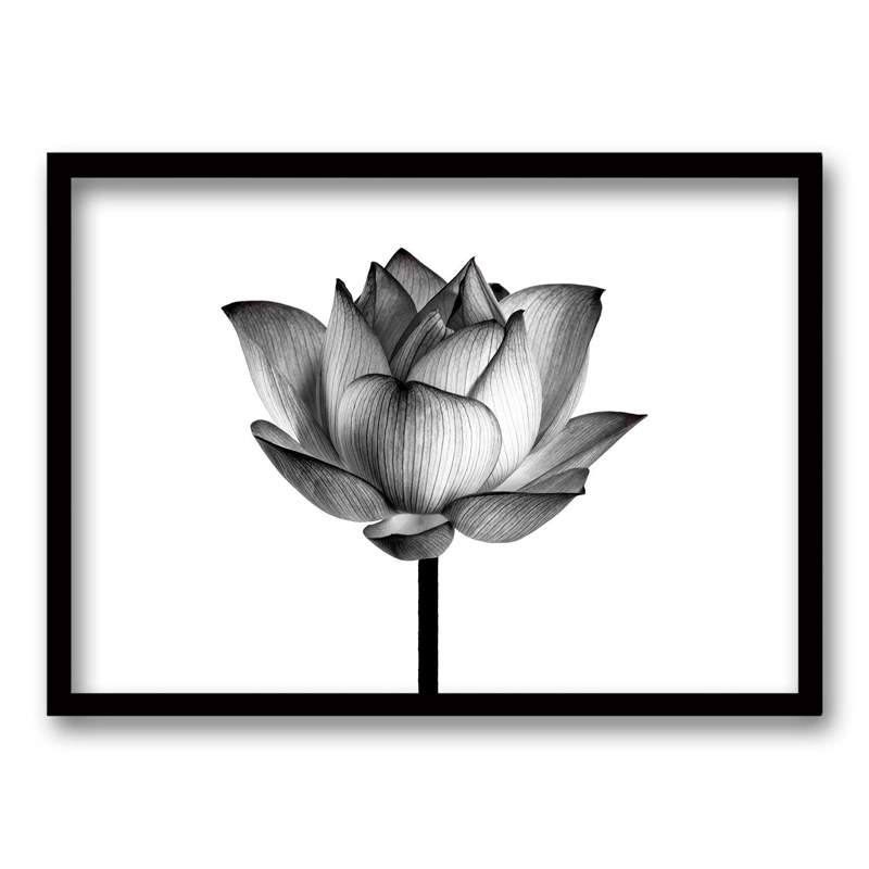 CUADRO FLOR DE LOTO II 50X35 CM - 1