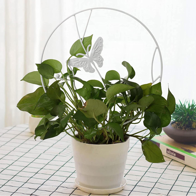 SOPORTE MIABU MIB-SPC03 PLANTAS TREPADORAS MARIPOSA BLANCA METAL - 2