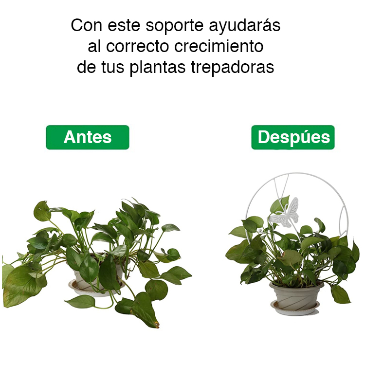 SOPORTE MIABU MIB-SPC03 PLANTAS TREPADORAS MARIPOSA BLANCA METAL - 3