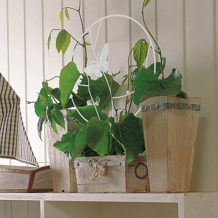 SOPORTE MIABU MIB-SPC03 PLANTAS TREPADORAS MARIPOSA BLANCA METAL - 4