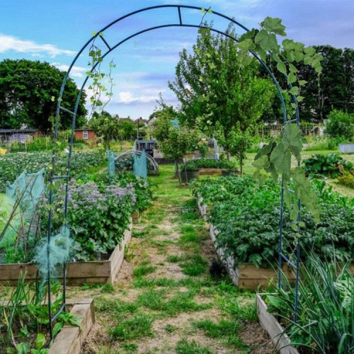 ARCO MIABU MIB-AF01 JARDÍN PLANTAS ENREDADERAS ALTURA AJUSTABLE METAL - 5