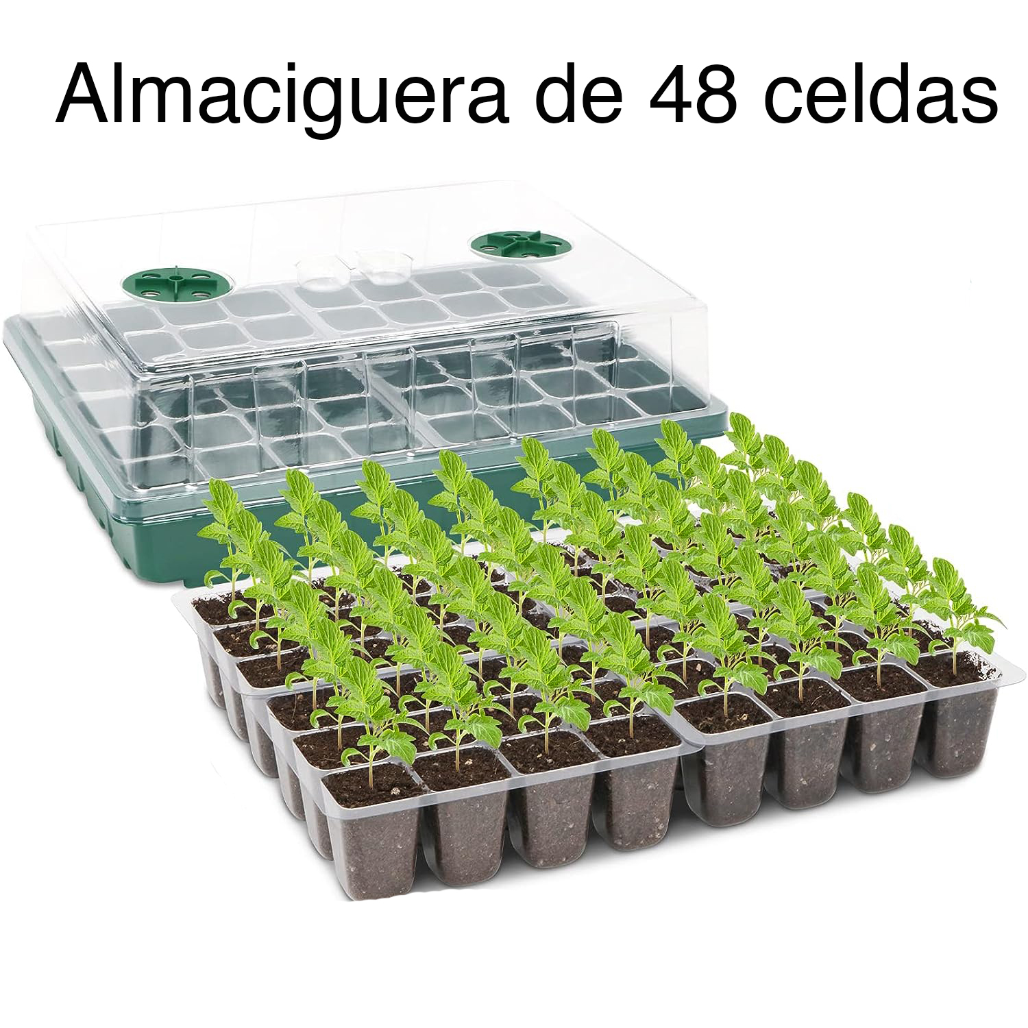 ALMACIGUERA GERMINADOR SEMILLAS 48 CELDAS - 2
