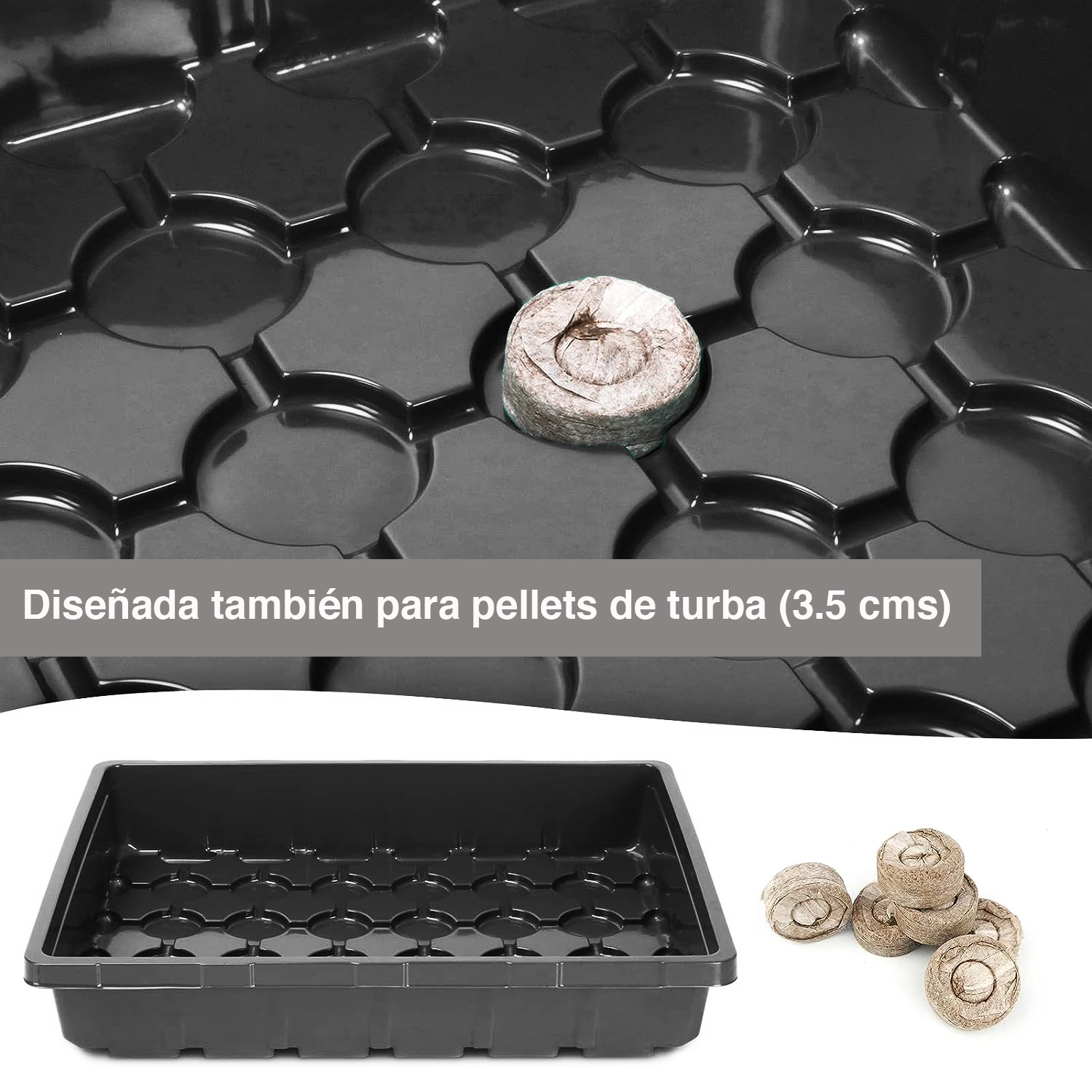 ALMACIGUERA GERMINADOR SEMILLAS 48 CELDAS - 4