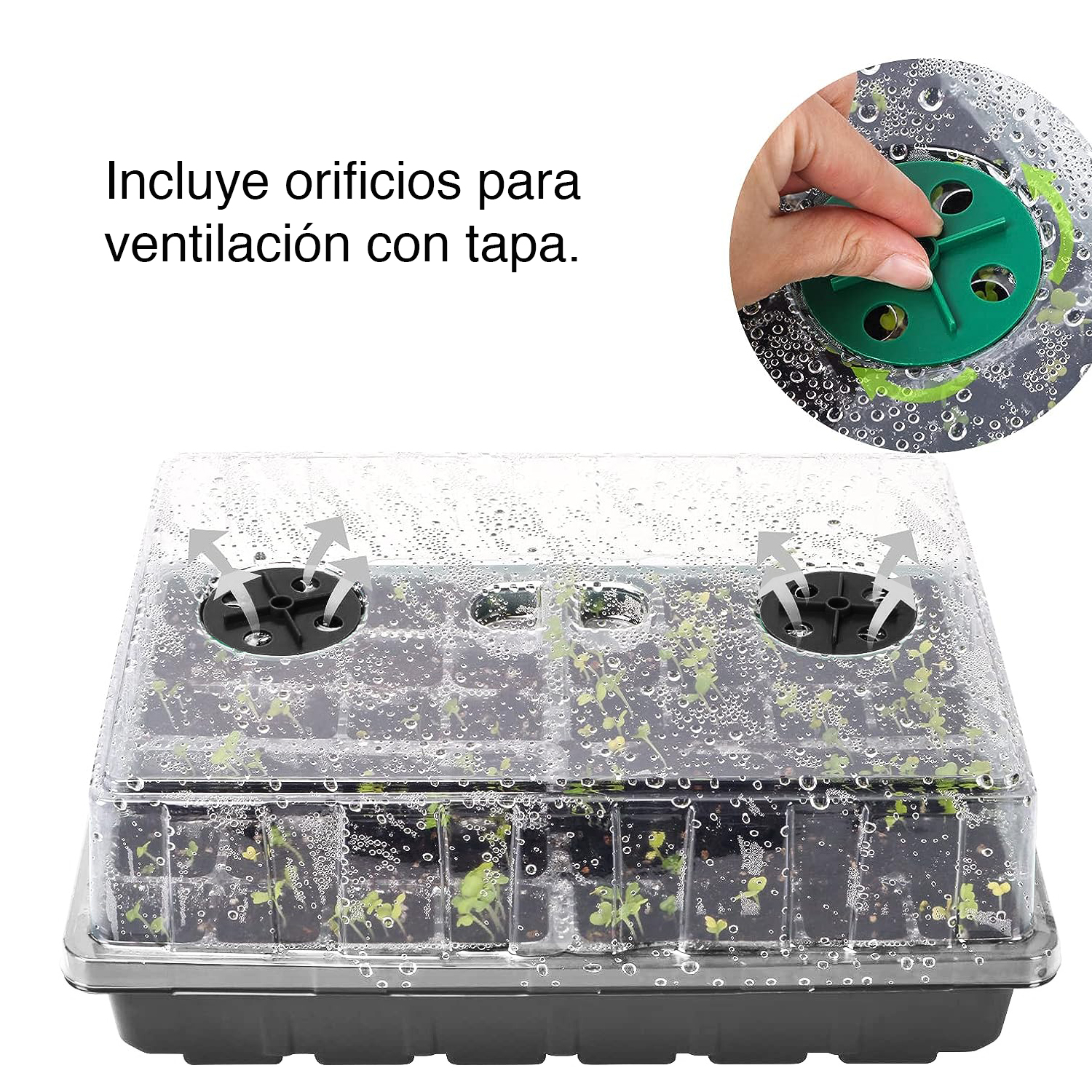 ALMACIGUERA GERMINADOR SEMILLAS 48 CELDAS - 5