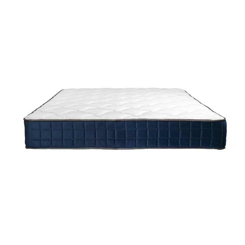 CAMA EUROPEA NOVA PLUS DUAL 2.0 PLAZAS BOX - 2