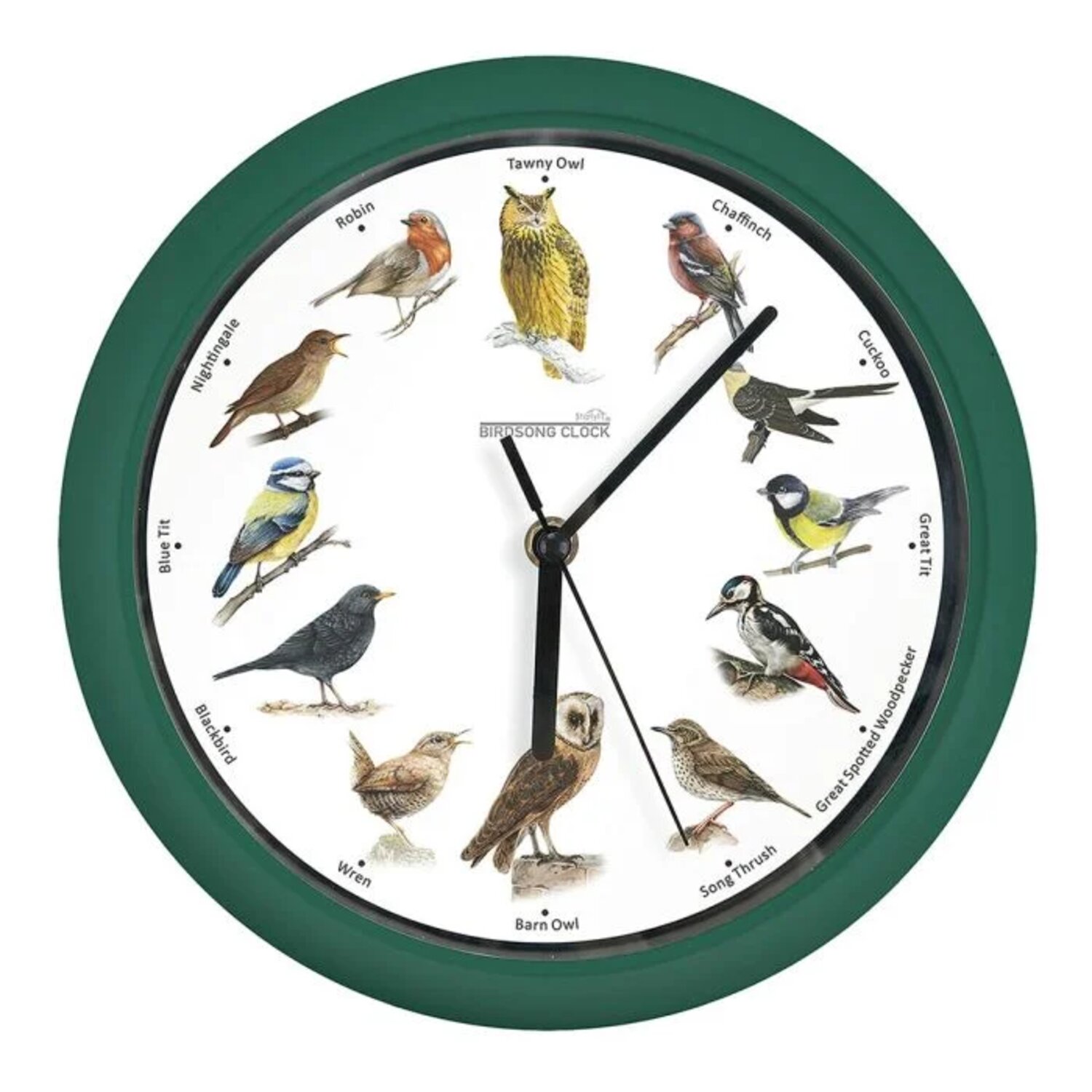 RELOJ DE PARED STARLYF BIRDSONG CLOCK - 5