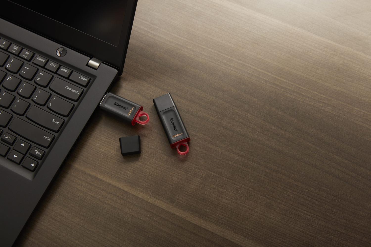 PENDRIVE KINGSTON UNIDAD FLASH USB DATATRAVELER EXODIA 256 GB USB TIPO A - 9