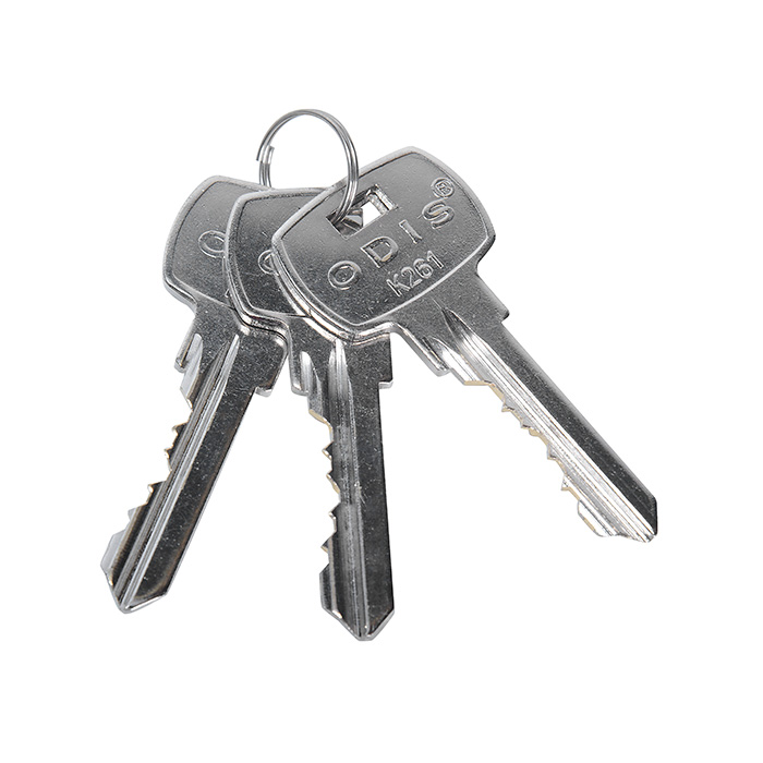 CERRADURA ODIS EMBUTIR 205 ACCESO - PLATA - 6