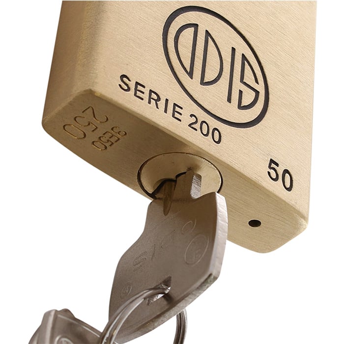 CANDADO ODIS 250 HOMBROS 50MM - 5