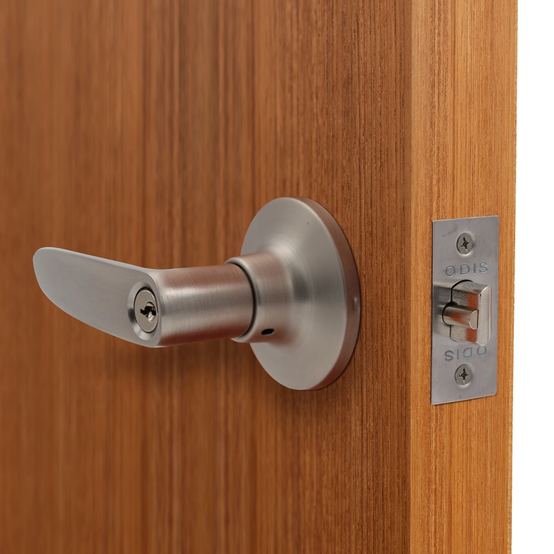CERRADURA TUBULAR CON MANILLA ODIS 203 DORMITORIO - PLATA - 4