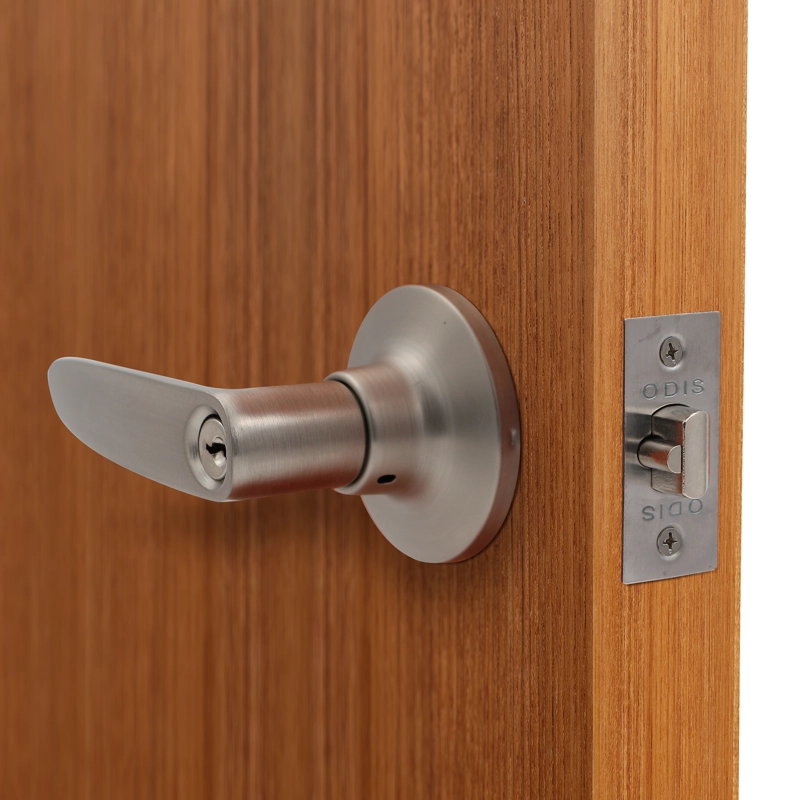 CERRADURA TUBULAR CON MANILLA ODIS 203 ACCESO - PLATA - 7