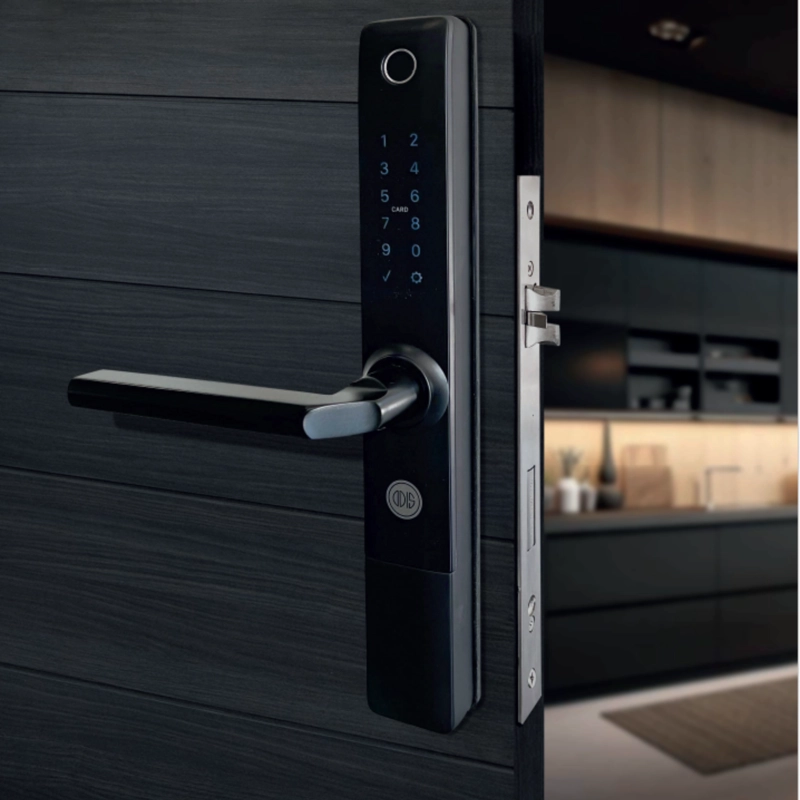 CERRADURA DIGITAL INTELIGENTE ODIS 8900 CONECTABLE WIFI - 2