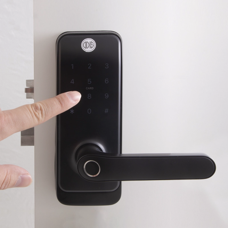 CERRADURA DIGITAL INTELIGENTE CON CONEXION WIFI ODIS SIN HUB - 2