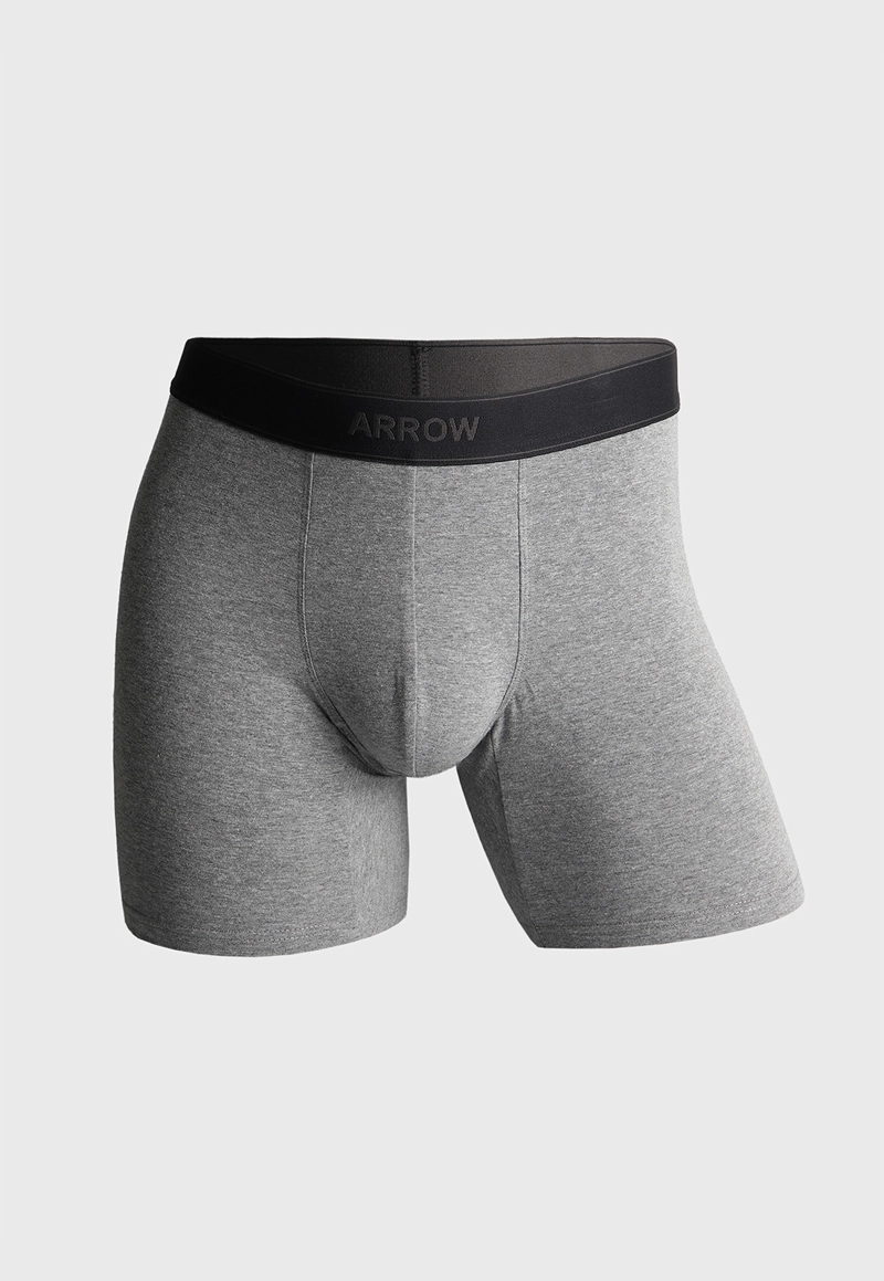 BOXER LARGO 5 UNIDADES ARROW - 3