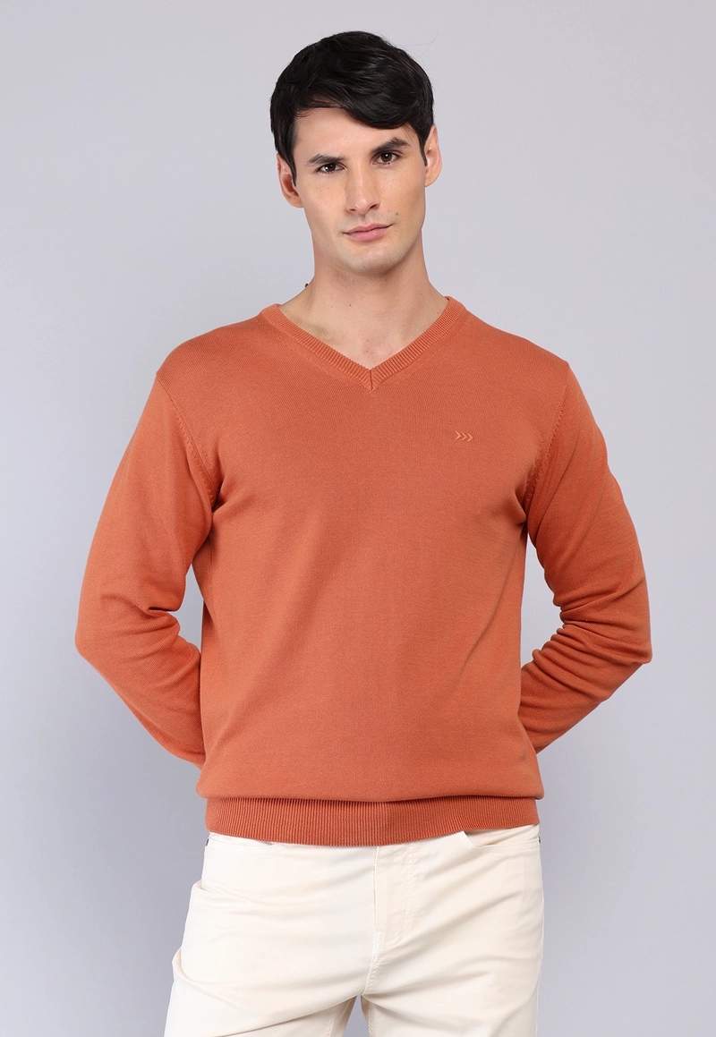 SWEATER CUELLO V ARROW - 1