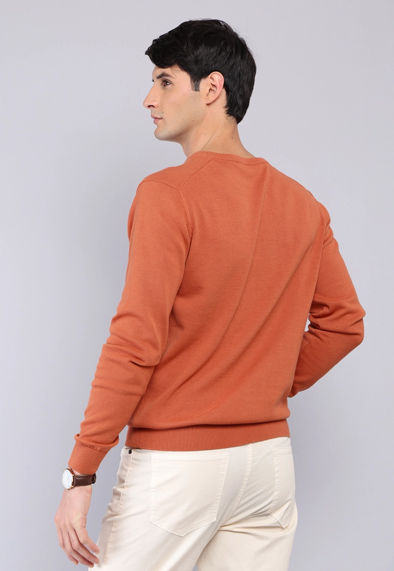 SWEATER CUELLO V ARROW - 2