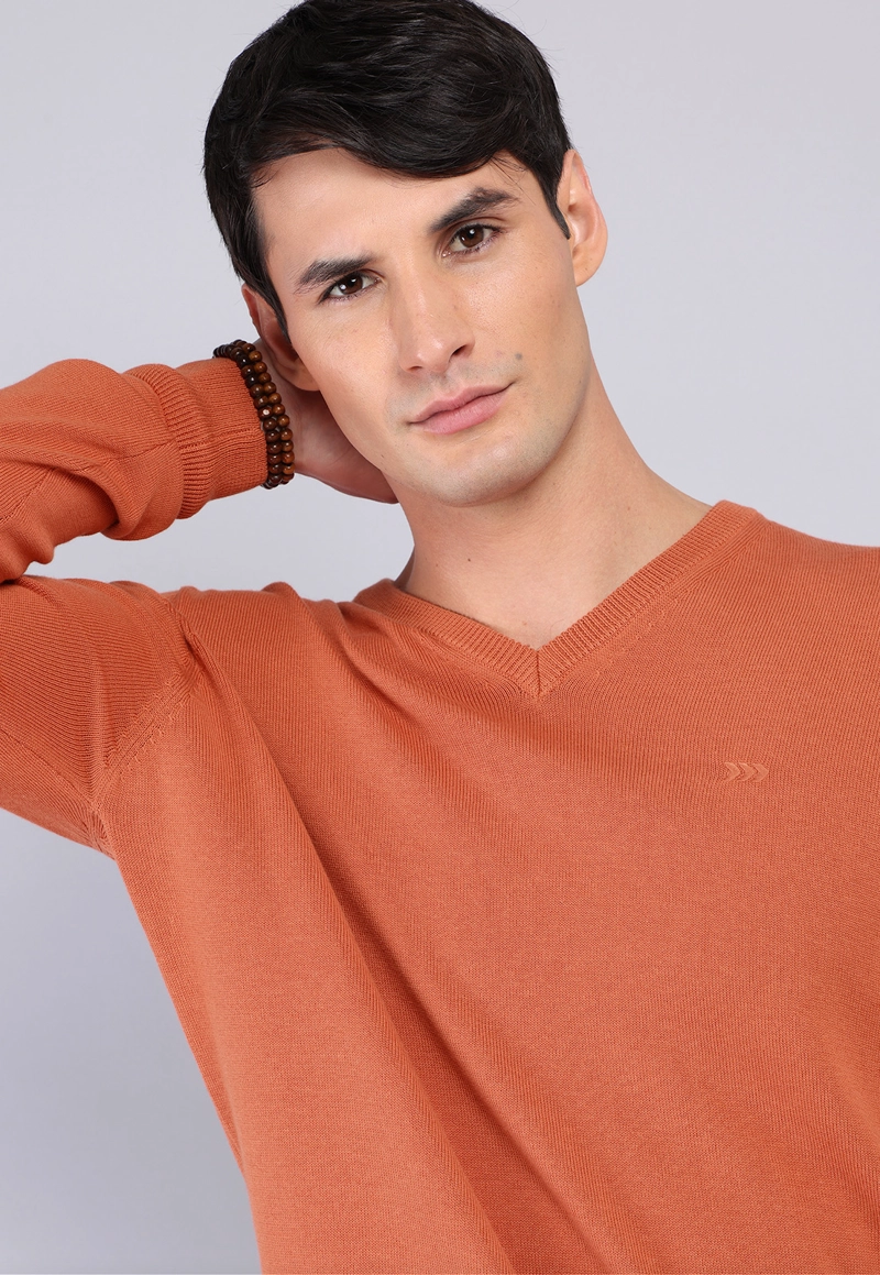 SWEATER CUELLO V ARROW - 3