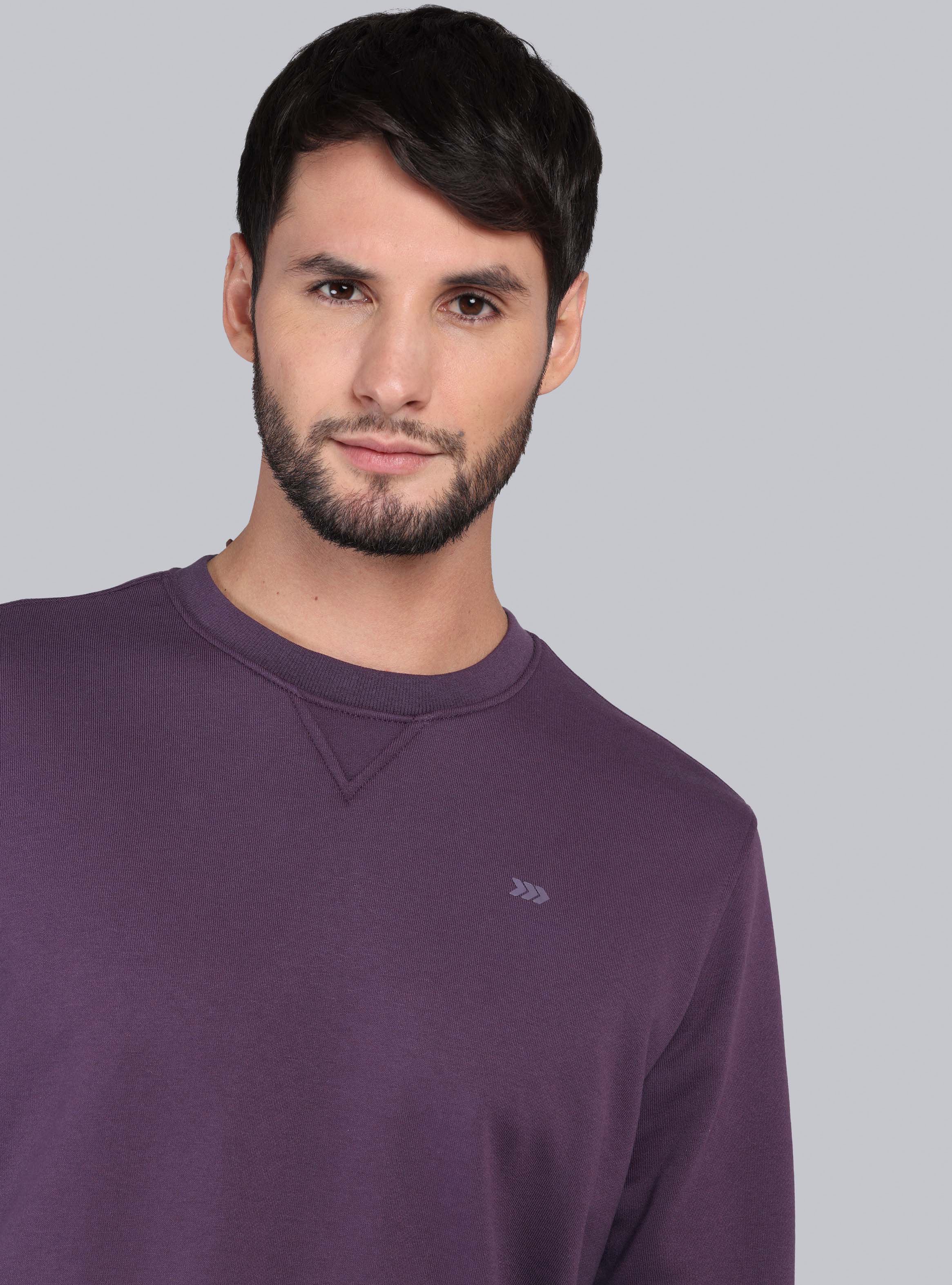 POLERON CUELLO REDONDO REGULAR FIT BURDEO ARROW - 3