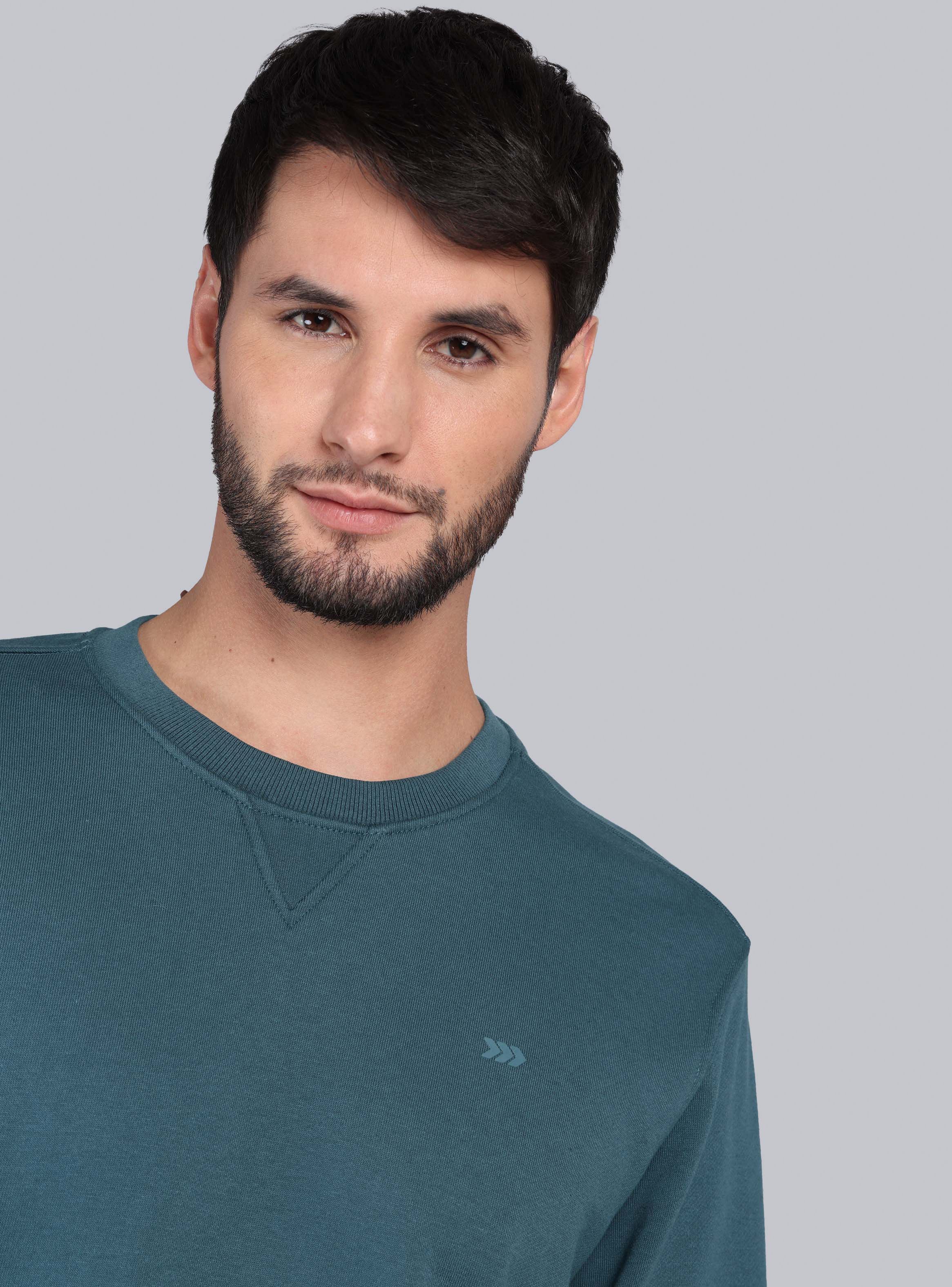 POLERON CUELLO REDONDO REGULAR FIT PETROLEO ARROW - 3