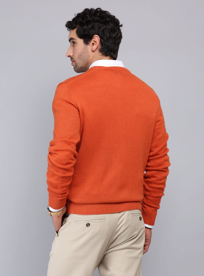 SWEATER CUELLO V PIERO BUTTI - 2