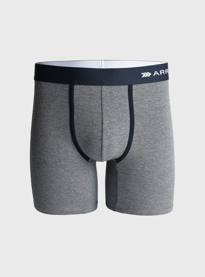 BOXER 5 UNIDADES REGULAR FIT MULTICOLOR ARROW - 2