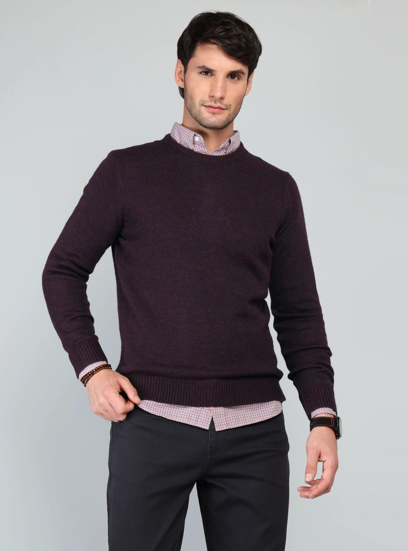 SWEATER CUELLO REDONDO REGULAR FIT PURPURA ARROW - 1