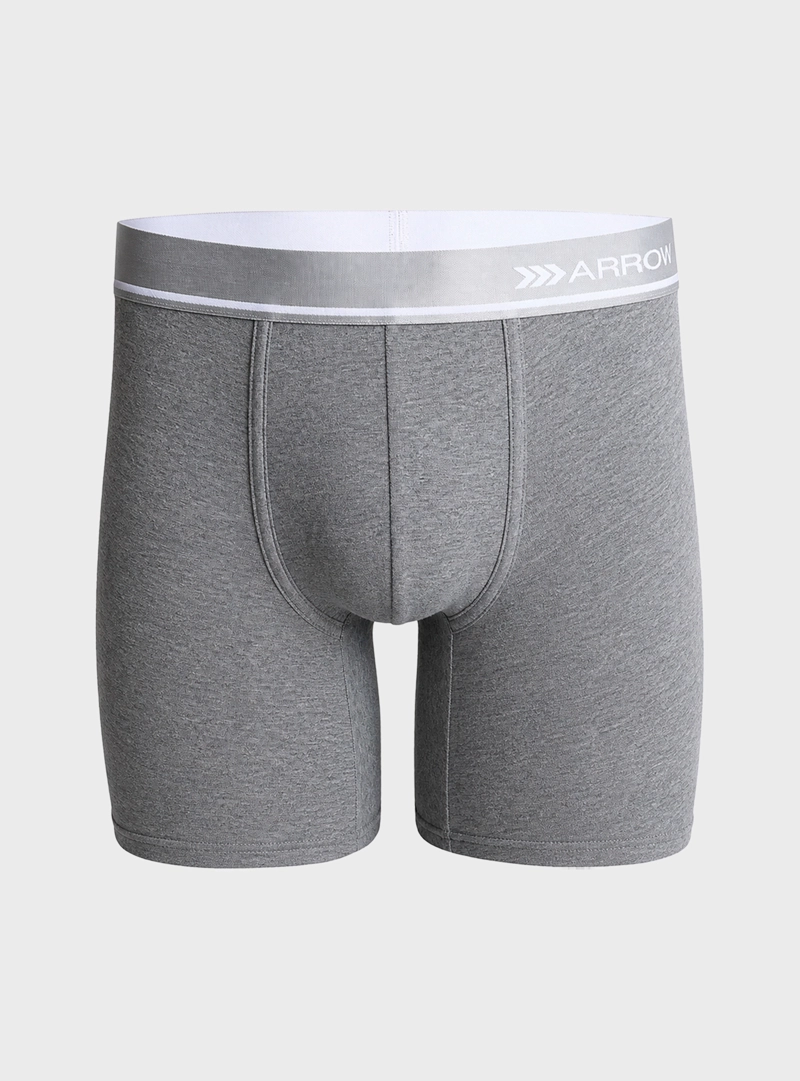 BOXER 5 UNIDADES REGULAR FIT MULTICOLOR ARROW - 5