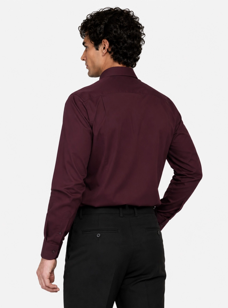 CAMISA FORMAL LISA SPANDEX SLIM FIT BURDEO ARROW - 2