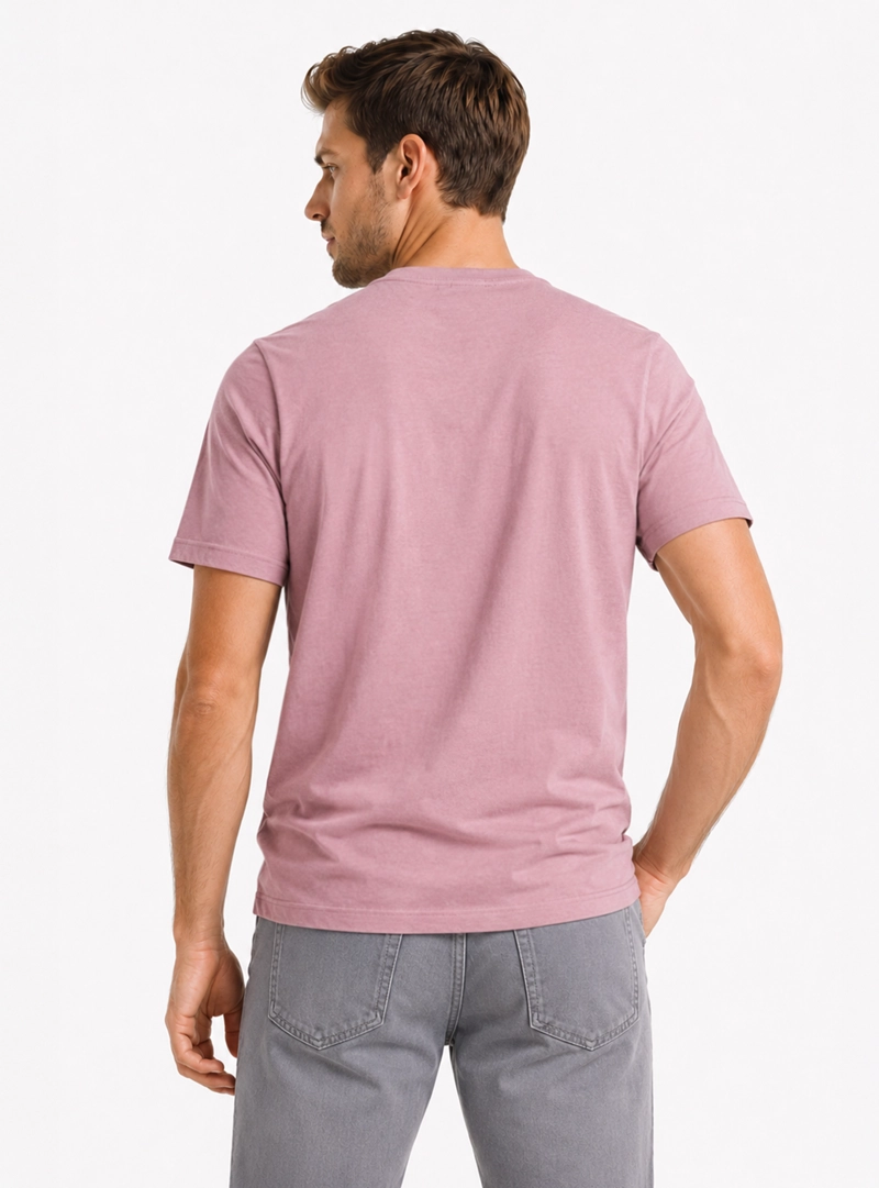 POLERA ALGODON LISA REGULAR FIT ROSADO ARROW - 2