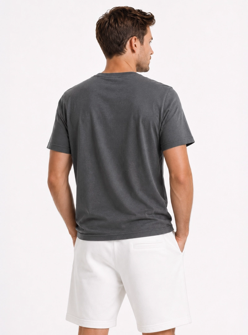 POLERA ALGODON LISA REGULAR FIT GRIS ARROW - 2