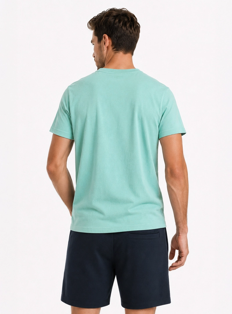POLERA ALGODON LISA REGULAR FIT VERDE CLARO ARROW - 2