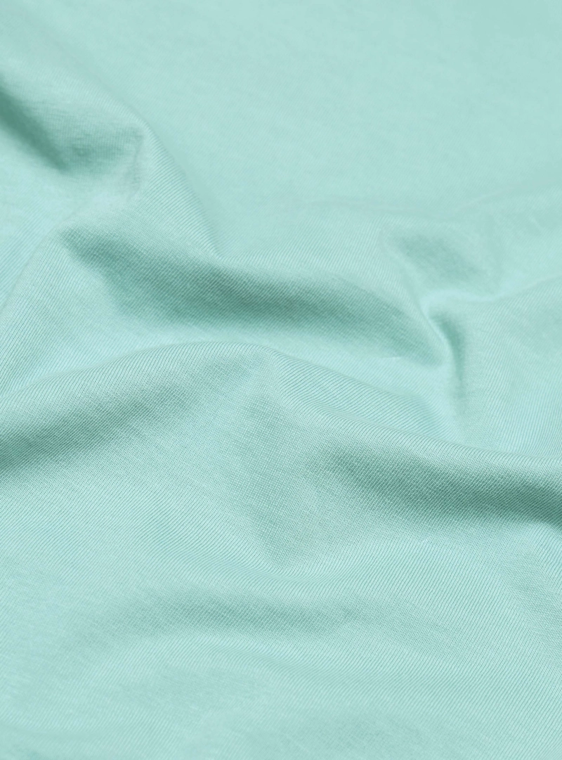POLERA ALGODON LISA REGULAR FIT VERDE CLARO ARROW - 6