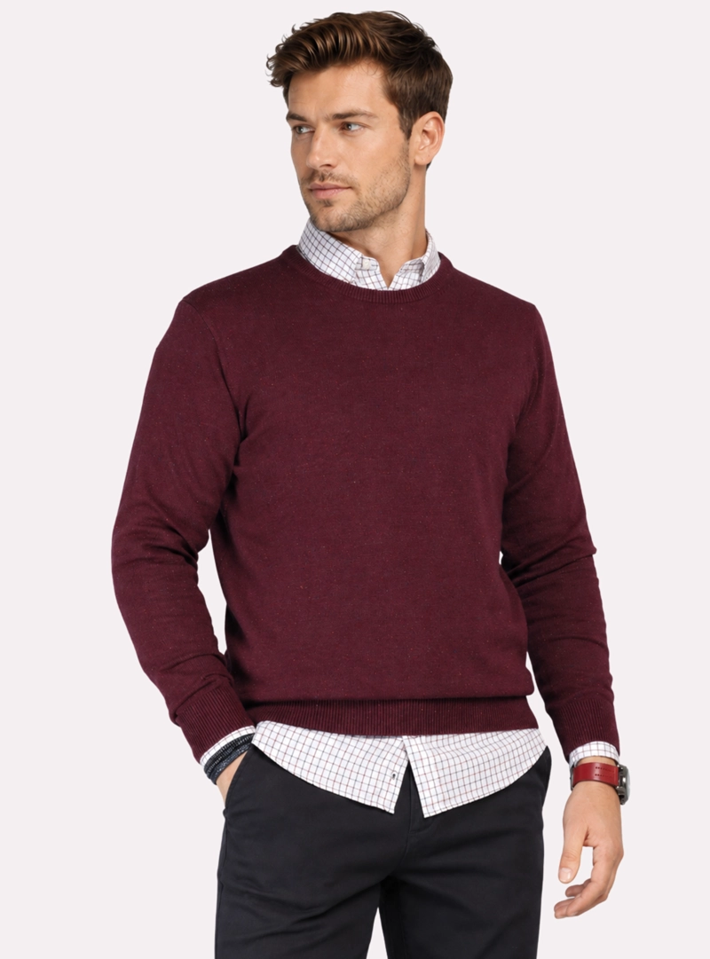 SWEATER CUELLO REDONDO REGULAR FIT BURDEO ARROW - 1