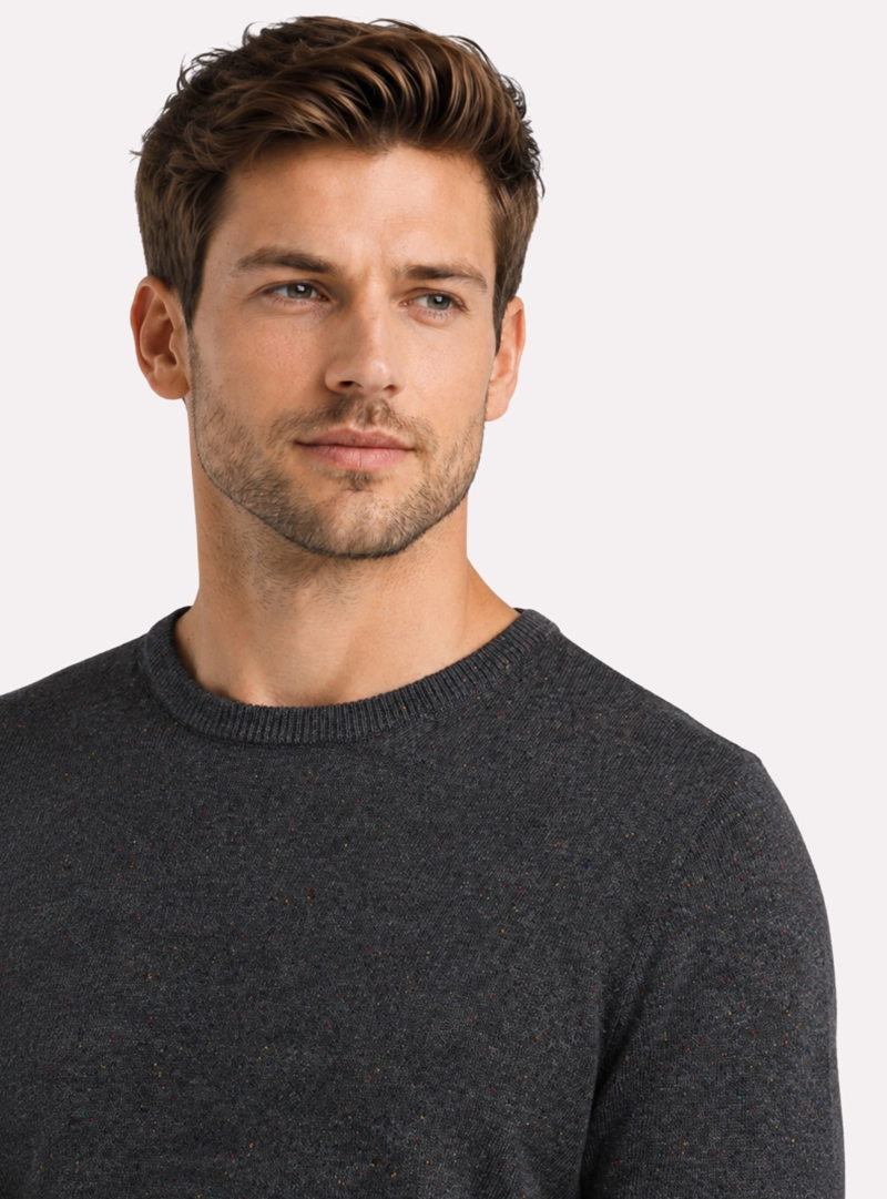 SWEATER CUELLO REDONDO REGULAR FIT GRIS ARROW - 3