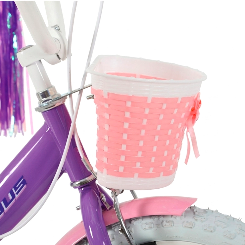 BICICLETA JESSY ARO 16 - 2