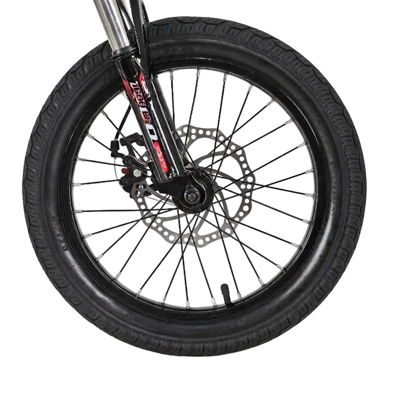 BICICLETA WOLFY FRENOS DE DISCO DS ARO 16 - 3