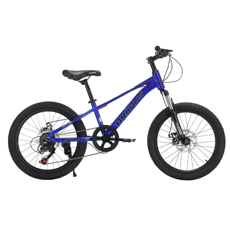 BICICLETA IRONHILL ALUMINIO ARO 20 - 1