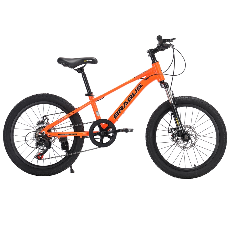 BICICLETA IRONHILL ALUMINIO ARO 20 - 1