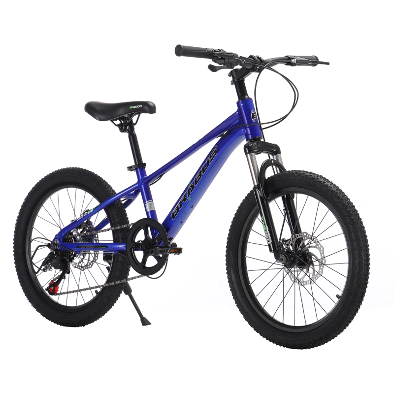 BICICLETA IRONHILL ALUMINIO ARO 20 - 2