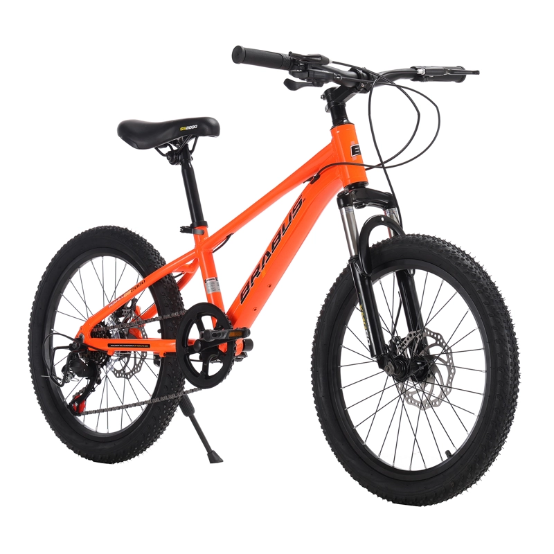 BICICLETA IRONHILL ALUMINIO ARO 20 - 2