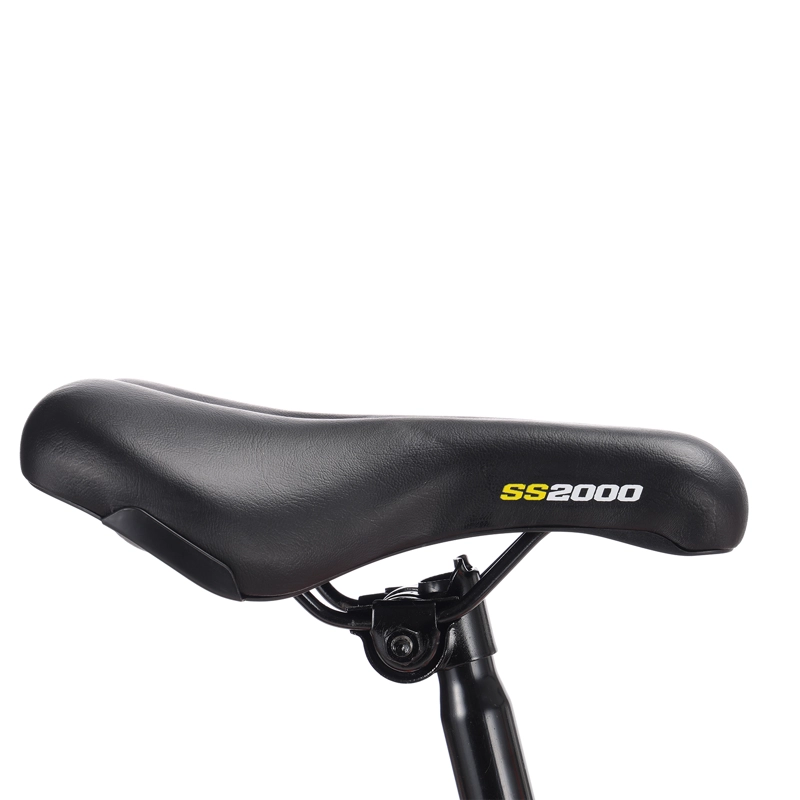 BICICLETA IRONHILL ALUMINIO ARO 20 - 3