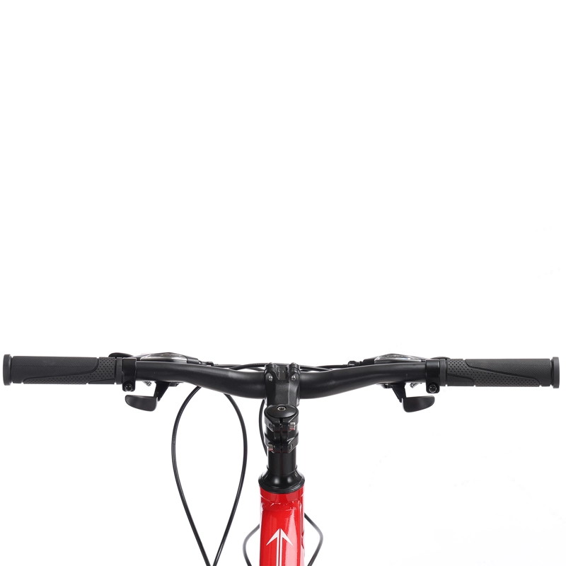 BICICLETA IRONHILL ALUMINIO ARO 24 - 5