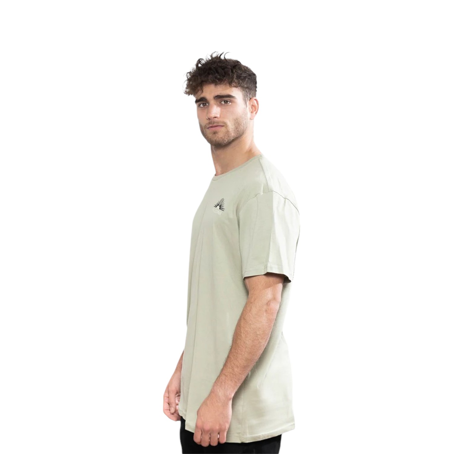 POLERA ORGÁNICA ELEMENTS VERDE HOMBRE FALCONE - 2