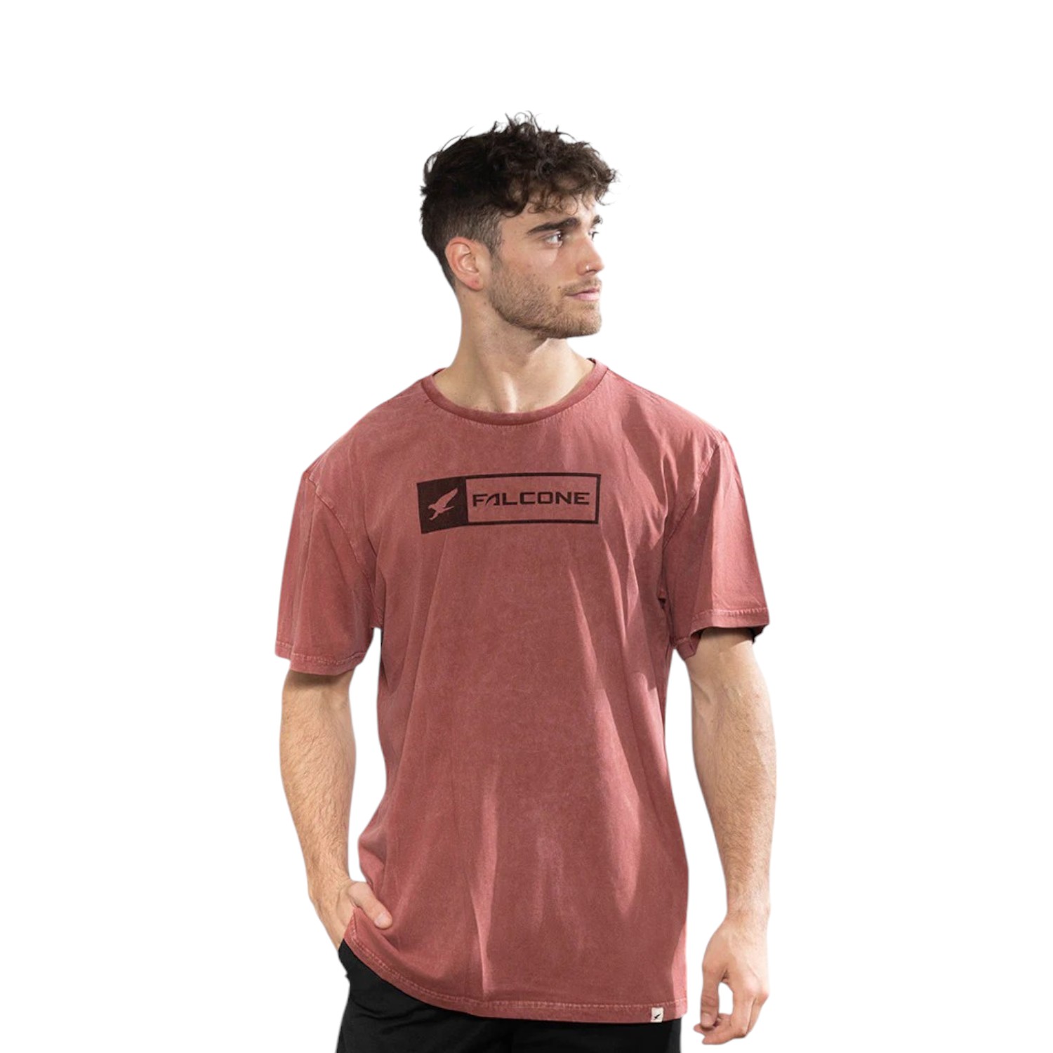 POLERA ORGÁNICA ACID-WASH RECTANGULAR LOGO TERRACOTA HOMBRE FALCONE - 1