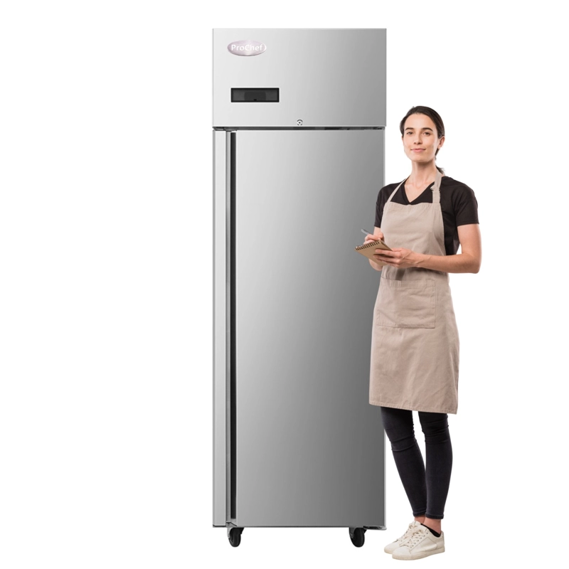 CONGELADOR INDUSTRIAL 430 LT ACERO INOX. FRIO FORZADO - 2