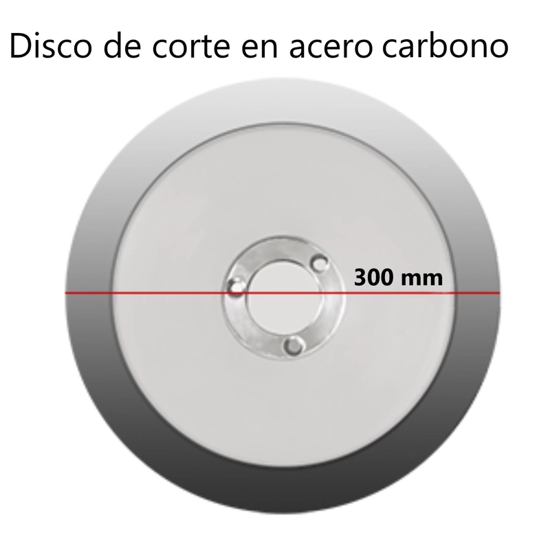 FIAMBRERA CORTADORA CECINAS 300 MM SEMI-AUTOMATICA - 5