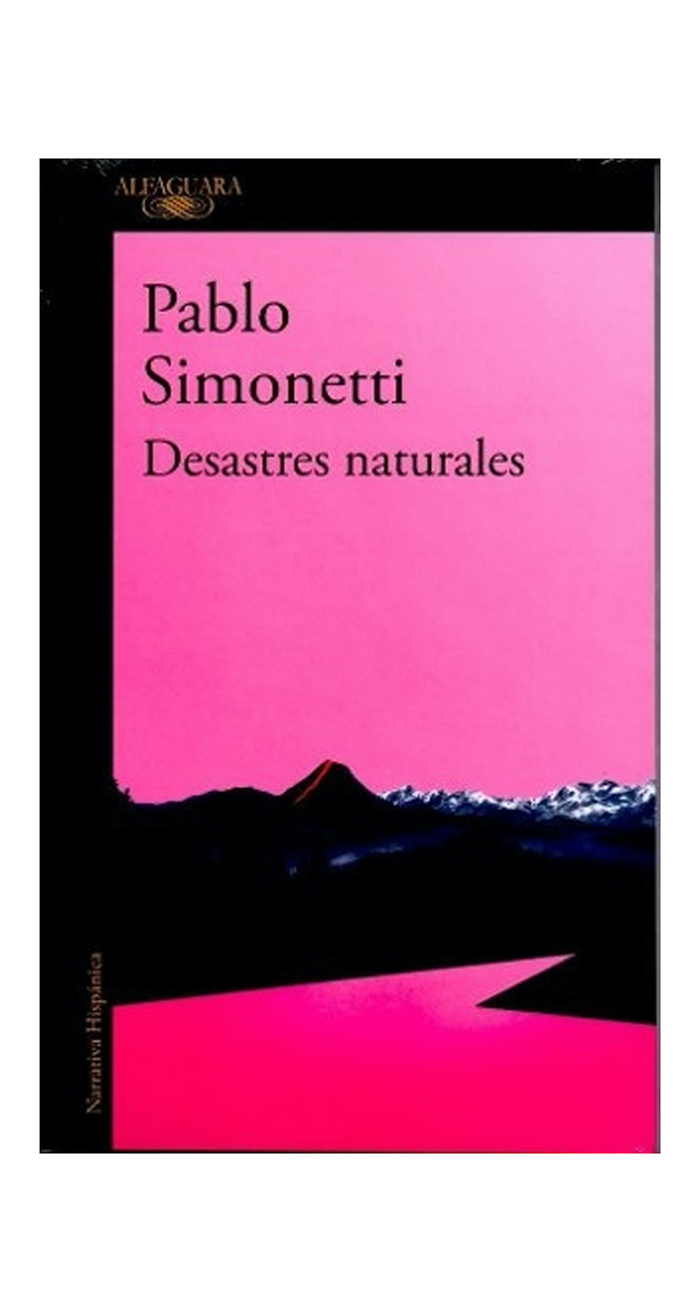 LIBRO DESASTRES NATURALES - PABLO SIMONETTI - 1