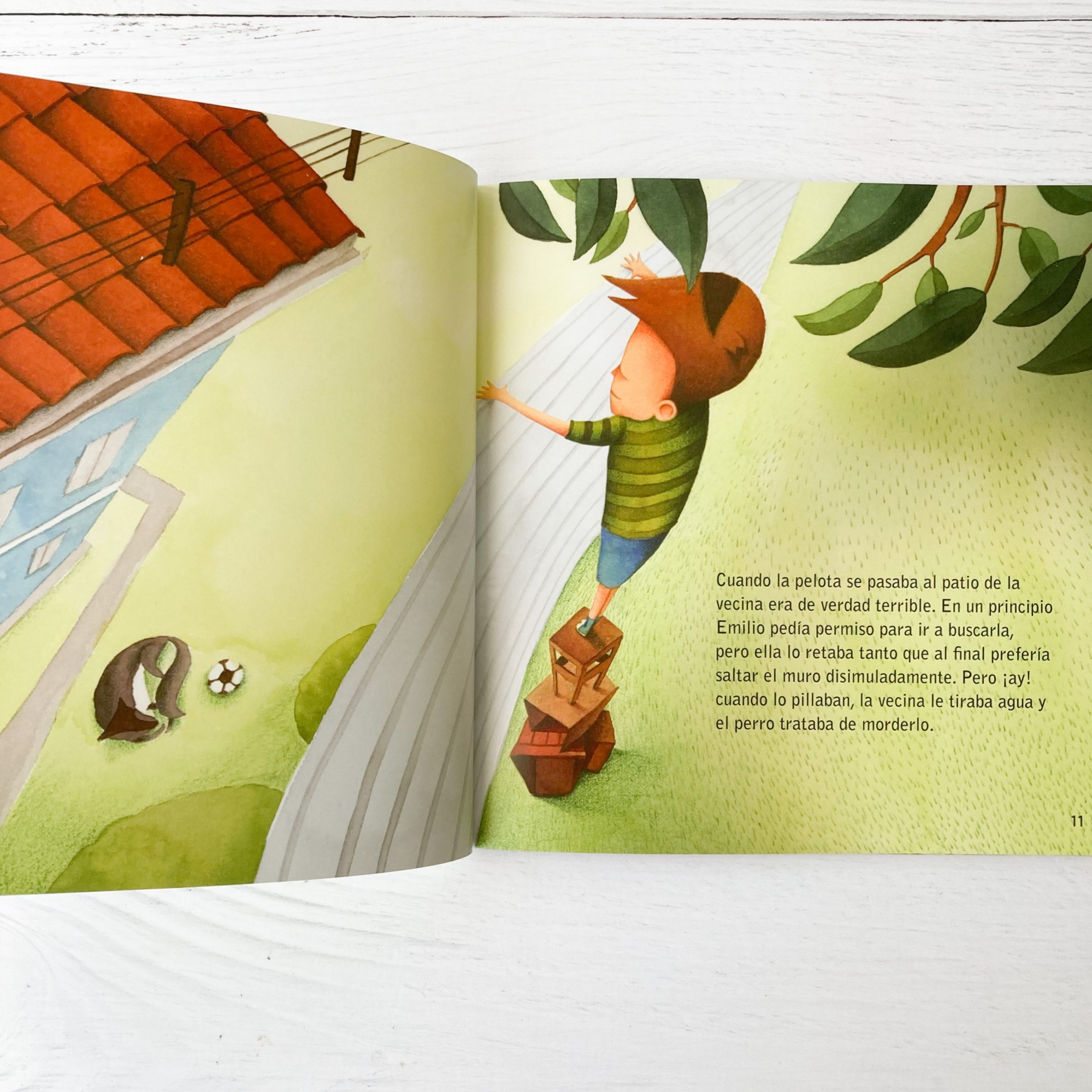LIBRO EN LA CASA DE AL LADO - CATALINA COVACEVICH - 4