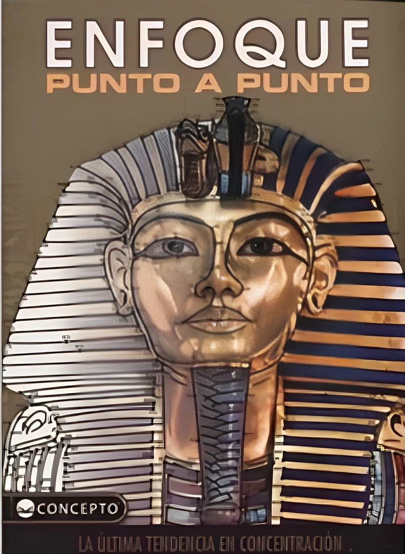 LIBRO ENFOQUE: PUNTO A PUNTO / VARIOS AUTORES -522- - 1