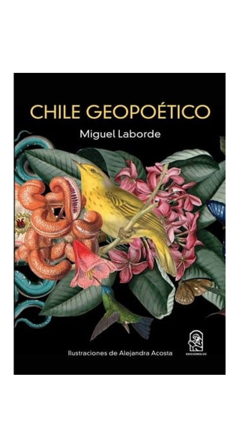 LIBRO CHILE GEOPOETICO MIGUEL LABORDE Y ALEJANDRO ACOSTA - 2